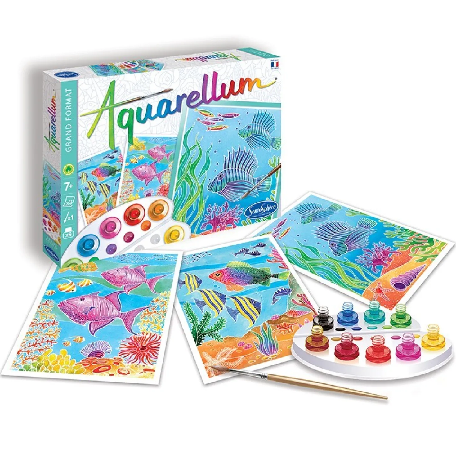 Aquarellum Grand Arrecife de Coral
