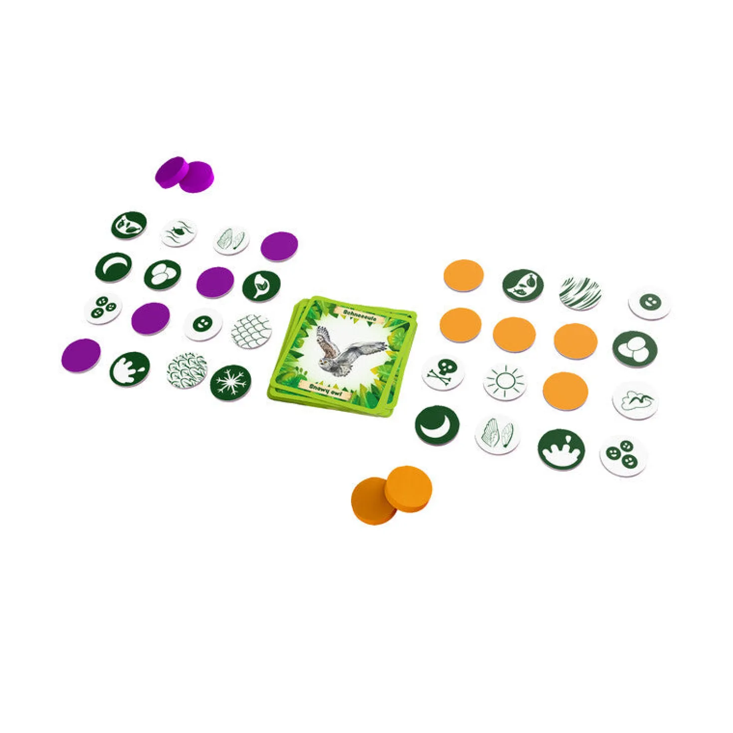 Bingo Animales alrededor del mundo · Haba