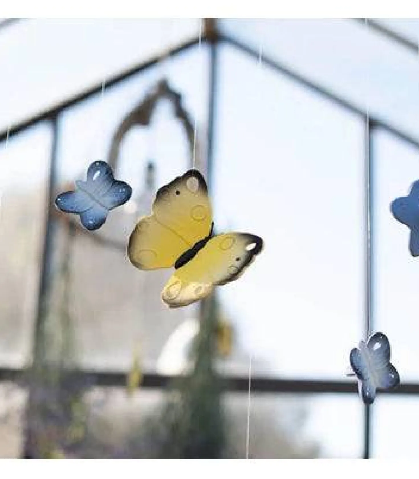 Blues the Butterfly