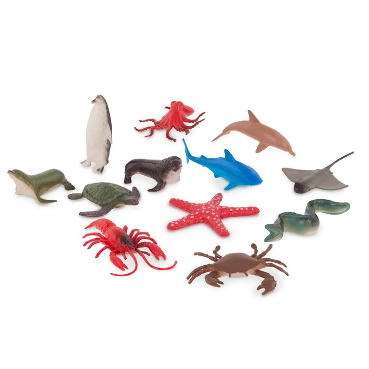 Bote 60 animales marinos · Terra