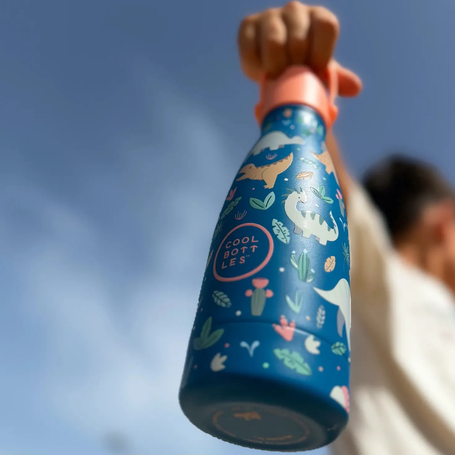Botella Acero Lost Valley 260ml · Cool Bottles