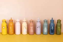 Botella Acero Mr. Dino 500ml · Trixie