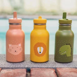 Botella Acero Mr. Dino 350ml · Trixie
