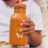Botella Acero Mr. Fox 350ml · Trixie