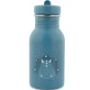 Botella Acero Mr. Triceratops 350ml · Trixie