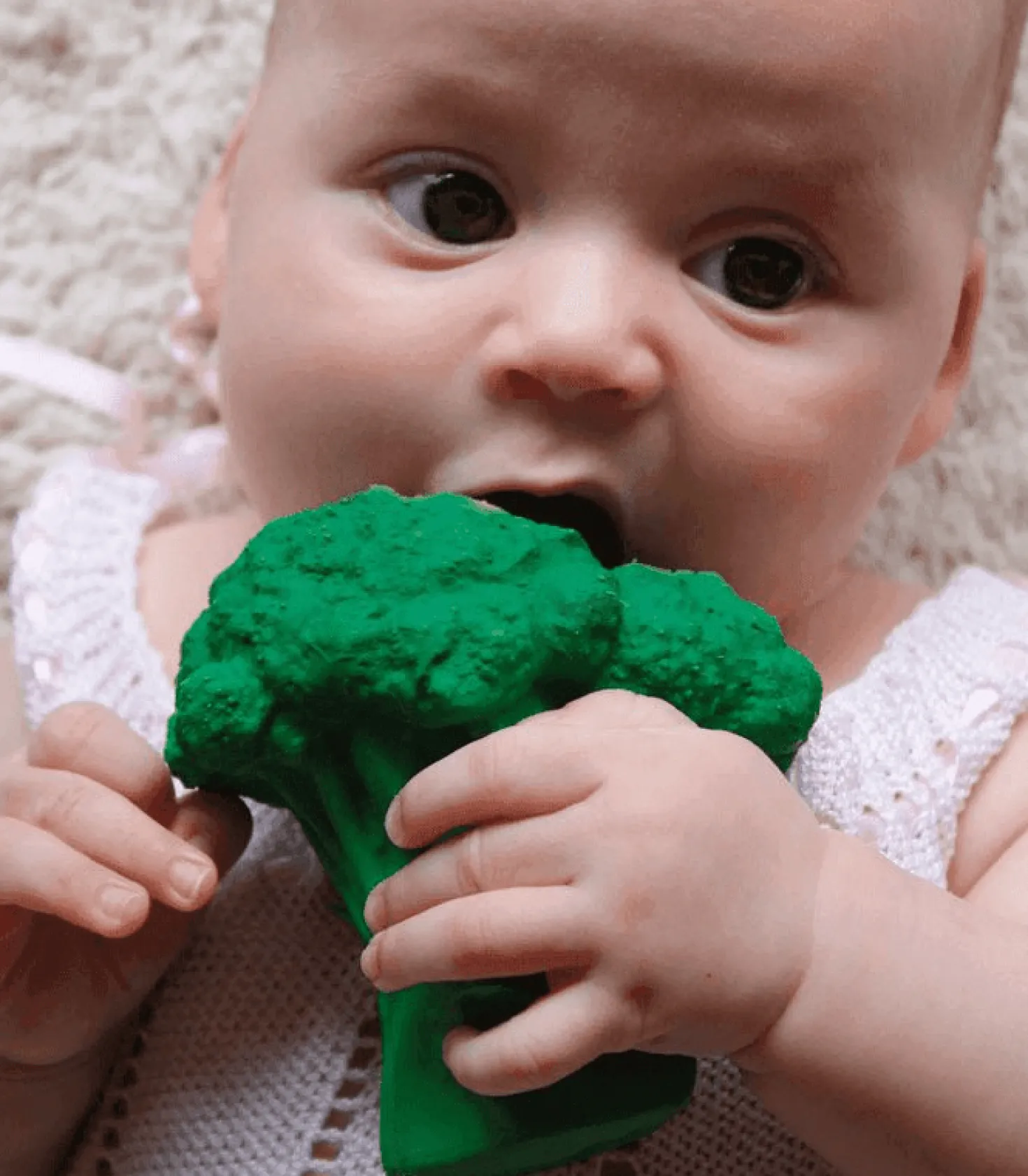 Brucy the Broccoli
