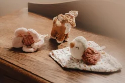 Caja Regalo Fairy Garden · Little Dutch