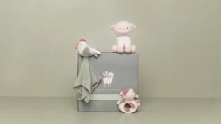 Caja Regalo Pequeña Granja · Little Dutch