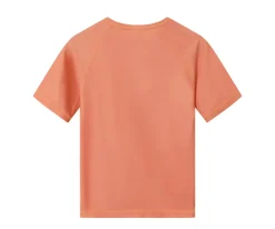 Camiseta Protección Solar Manga Corta · Camping