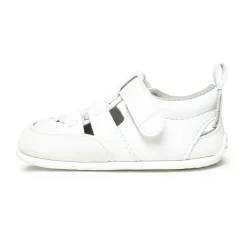 Canet feroz SS26