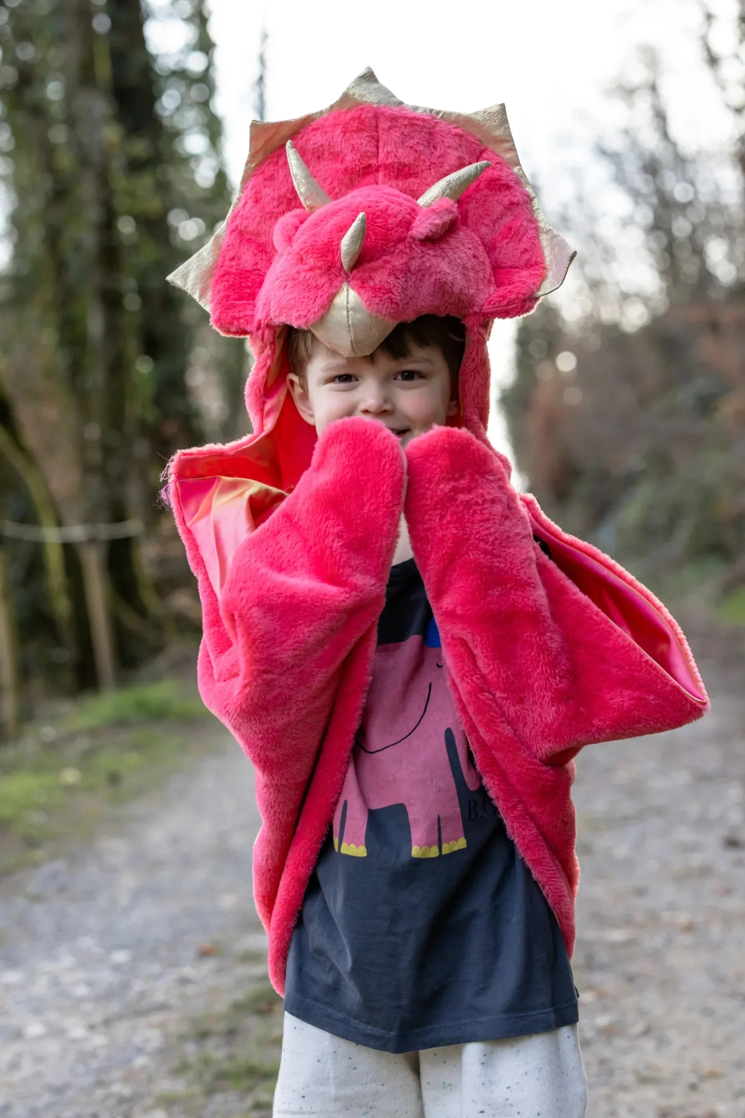 Capa peluche Triceratops · Great Pretenders