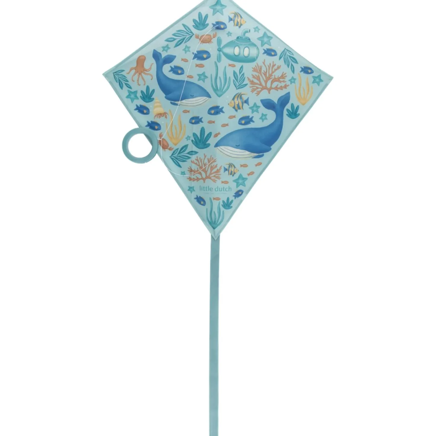 Cometa Océano · Little Dutch