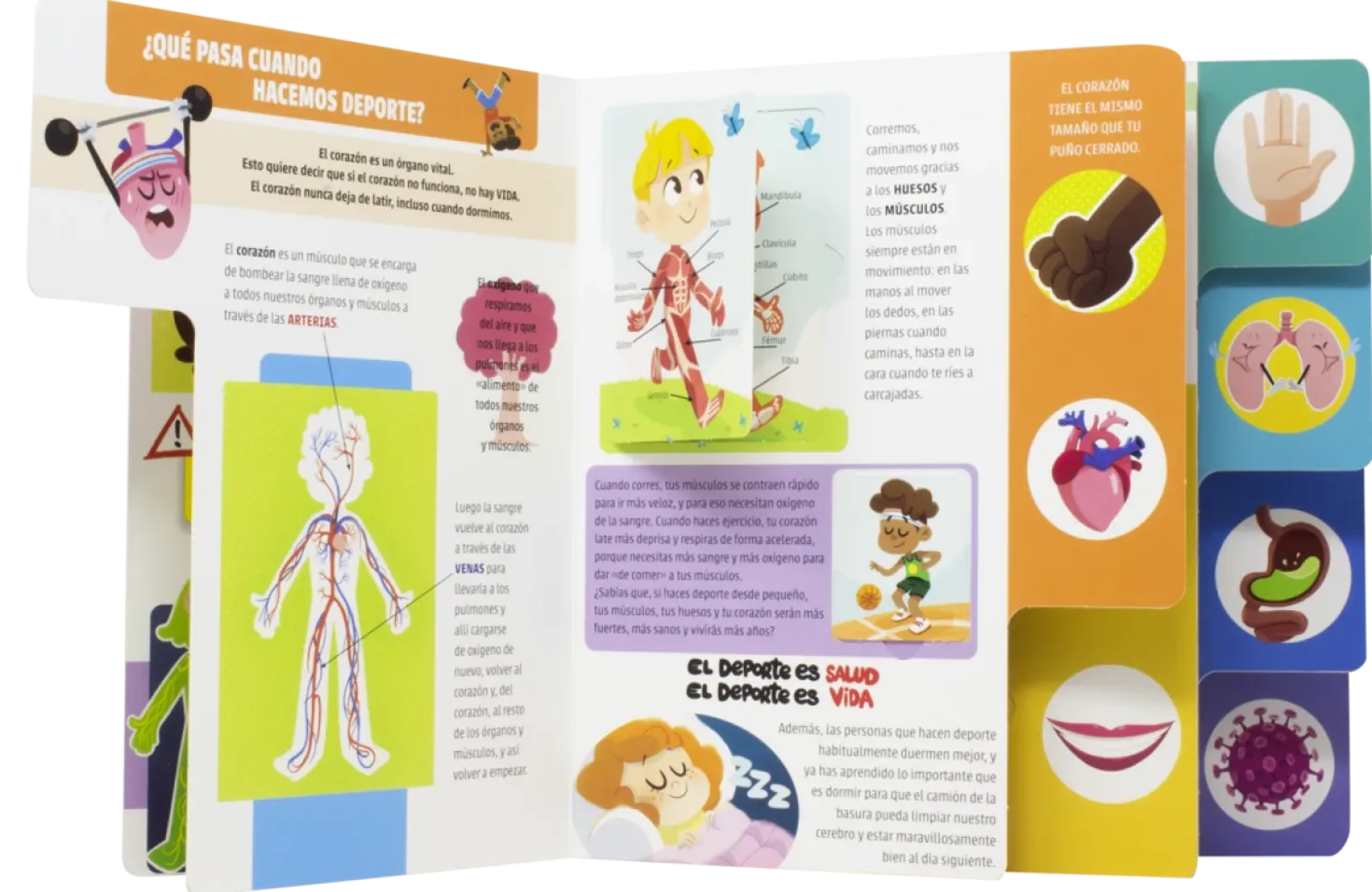 El gran libro del cuerpo humano
