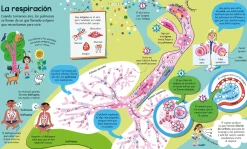 El gran libro del cuerpo humano