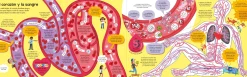 El gran libro del cuerpo humano