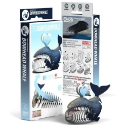 EUGY · Ballena de Groenlandia