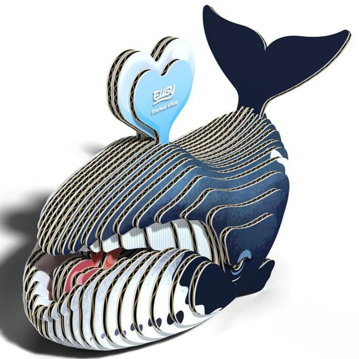 EUGY · Ballena de Groenlandia