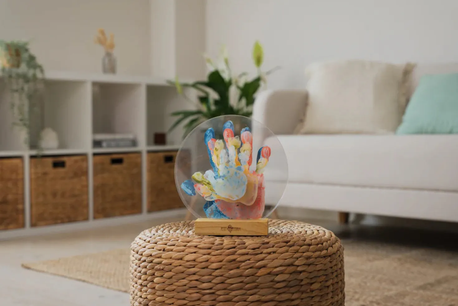 Family Colors · Petit Artichaut