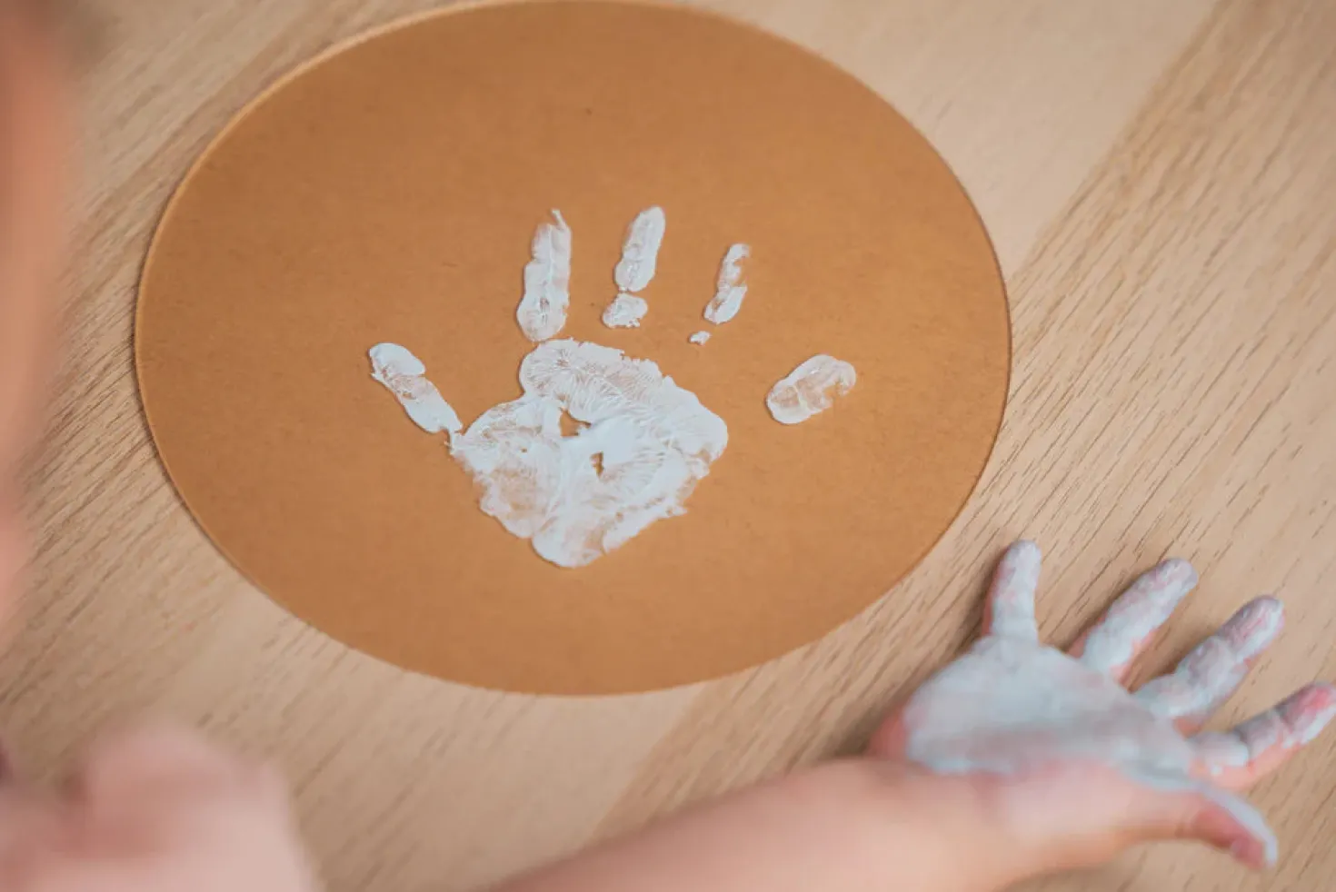 Family Colors · Petit Artichaut