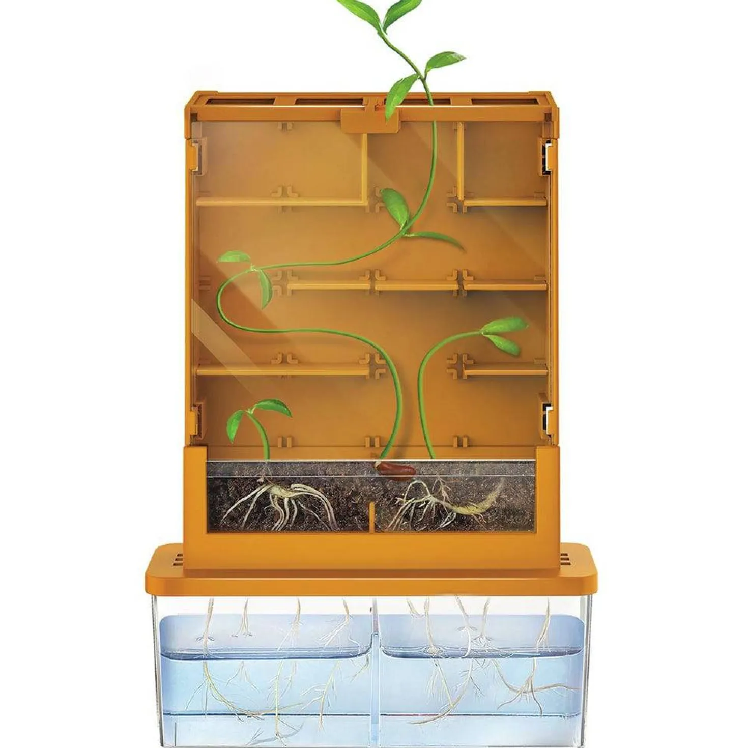 GreenScience Haz crecer tus plantas Laberinto · 4M