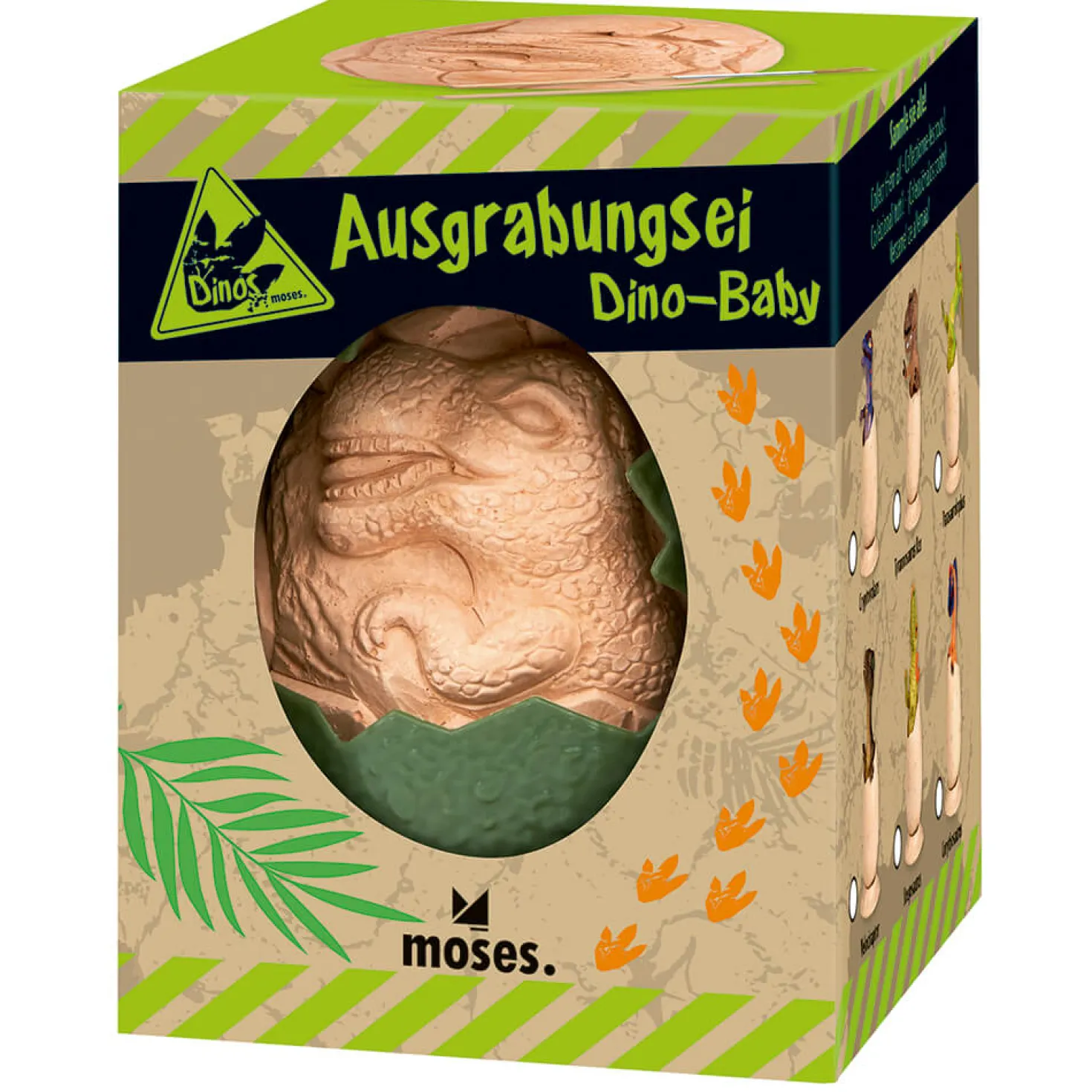 Huevo de bebé dinosaurio · Moses