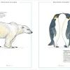 Inventario Ilustrado de Animales