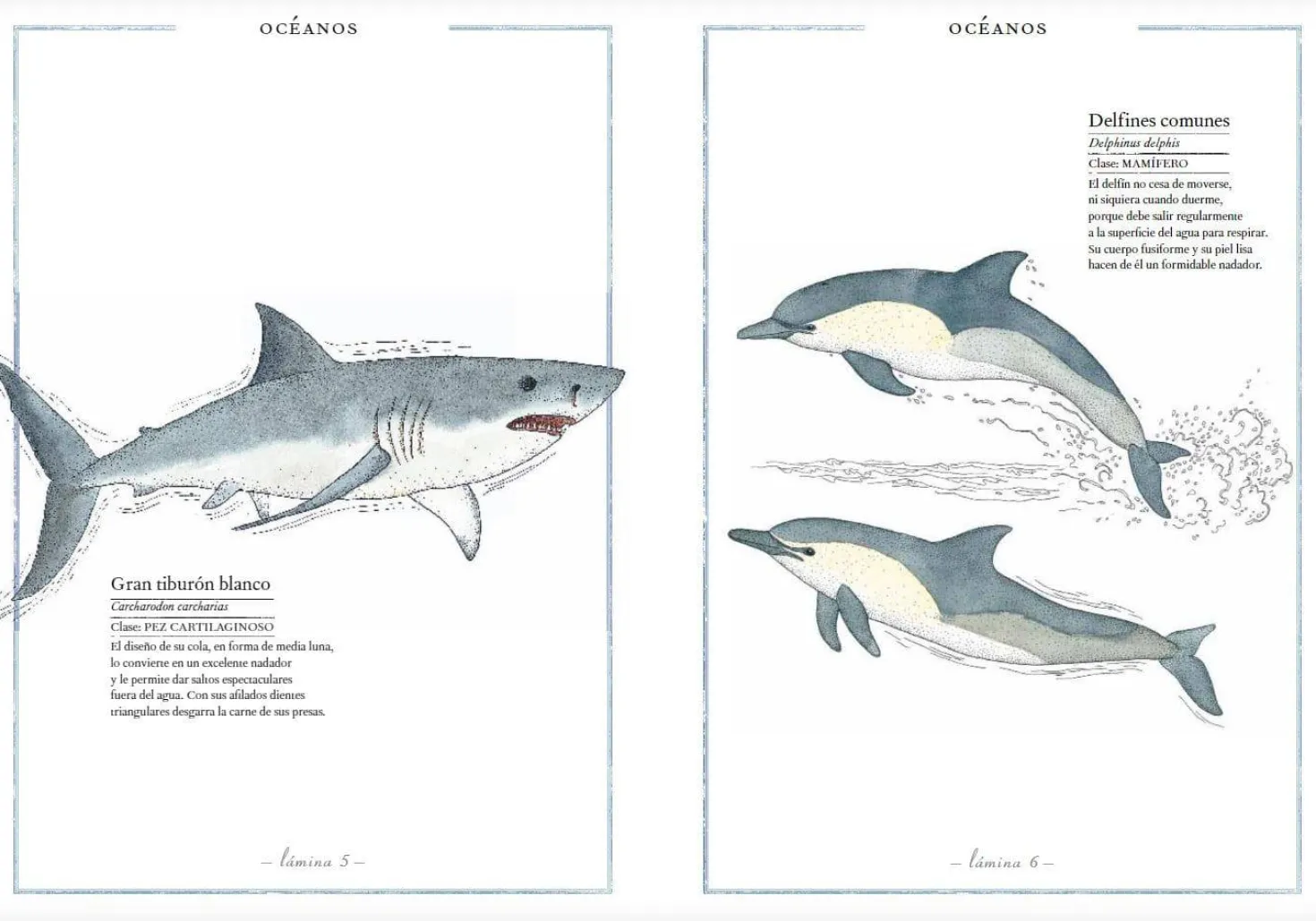 Inventario Ilustrado de Animales