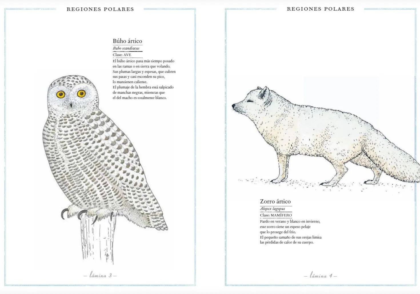 Inventario Ilustrado de Animales