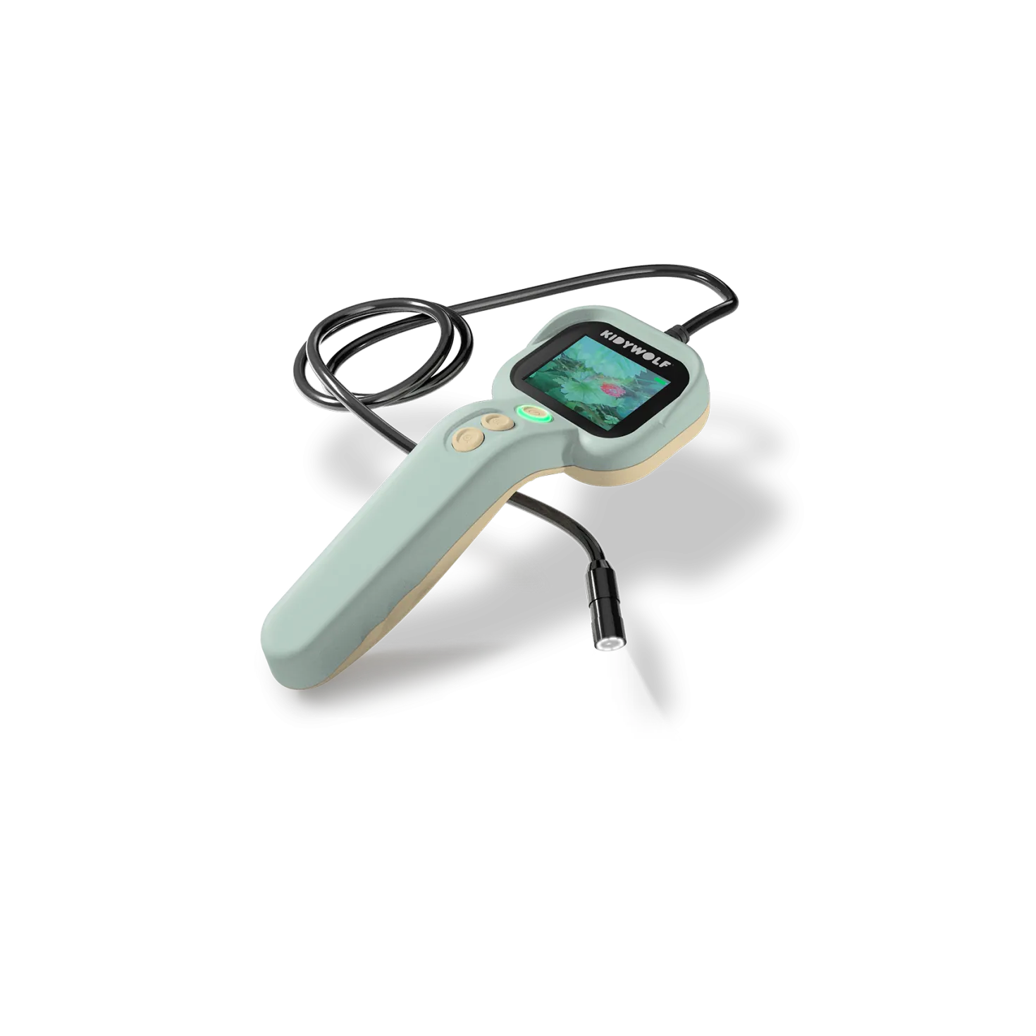 kidyexplorer verde · Kidywolf