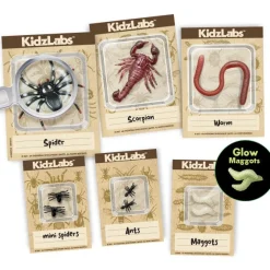 KidzLabs Creepy Lab Insectos · 4M