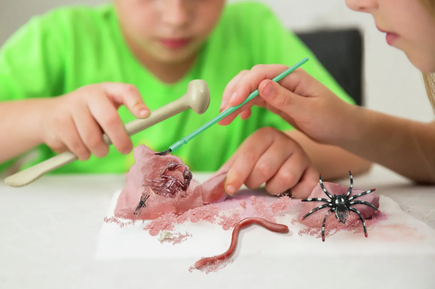 KidzLabs Excavación de Insectos · 4M