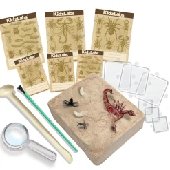 KidzLabs Excavación de Insectos · 4M