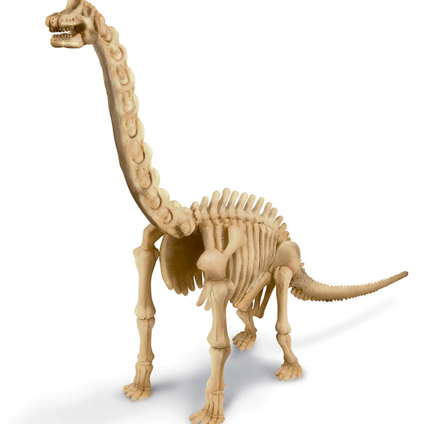 Kidz Labs Kit Geológico de un Brachiosaurus · 4M