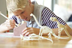 Kidz Labs Kit Geológico de un Triceratops · 4M