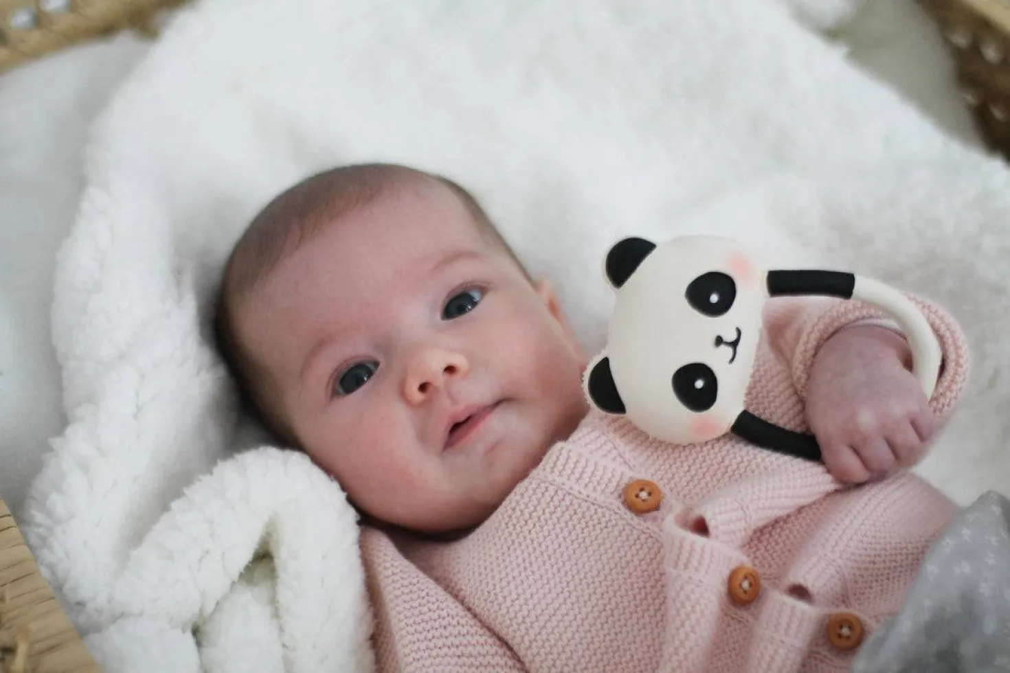 Kori el Panda