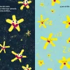 La estrella con los pies en el suelo
