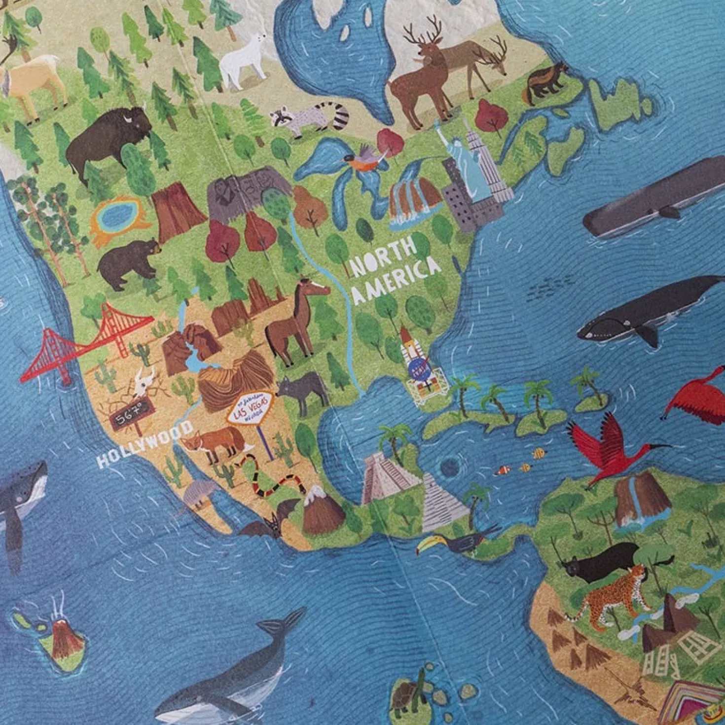 Learn&Fun - Wonderful World · Londji