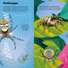 Libro de pegatinas Bichitos