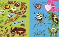 Libro de pegatinas Bichitos