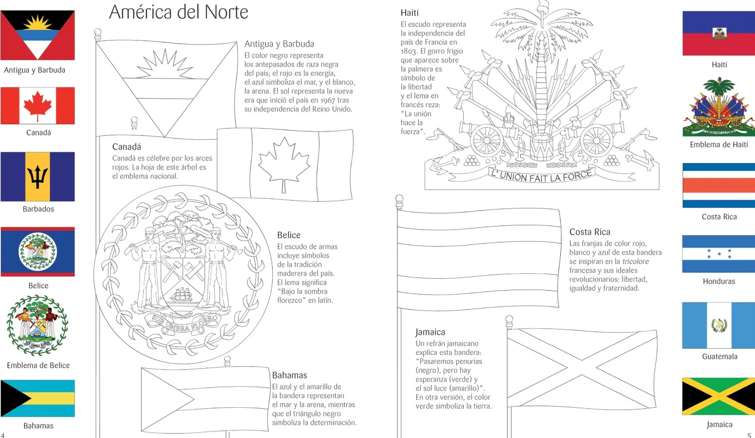 Libro Puzzle Banderas del Mundo
