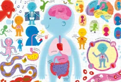 Libro Puzzle · El Cuerpo Humano