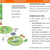 Little Collect · DJECO