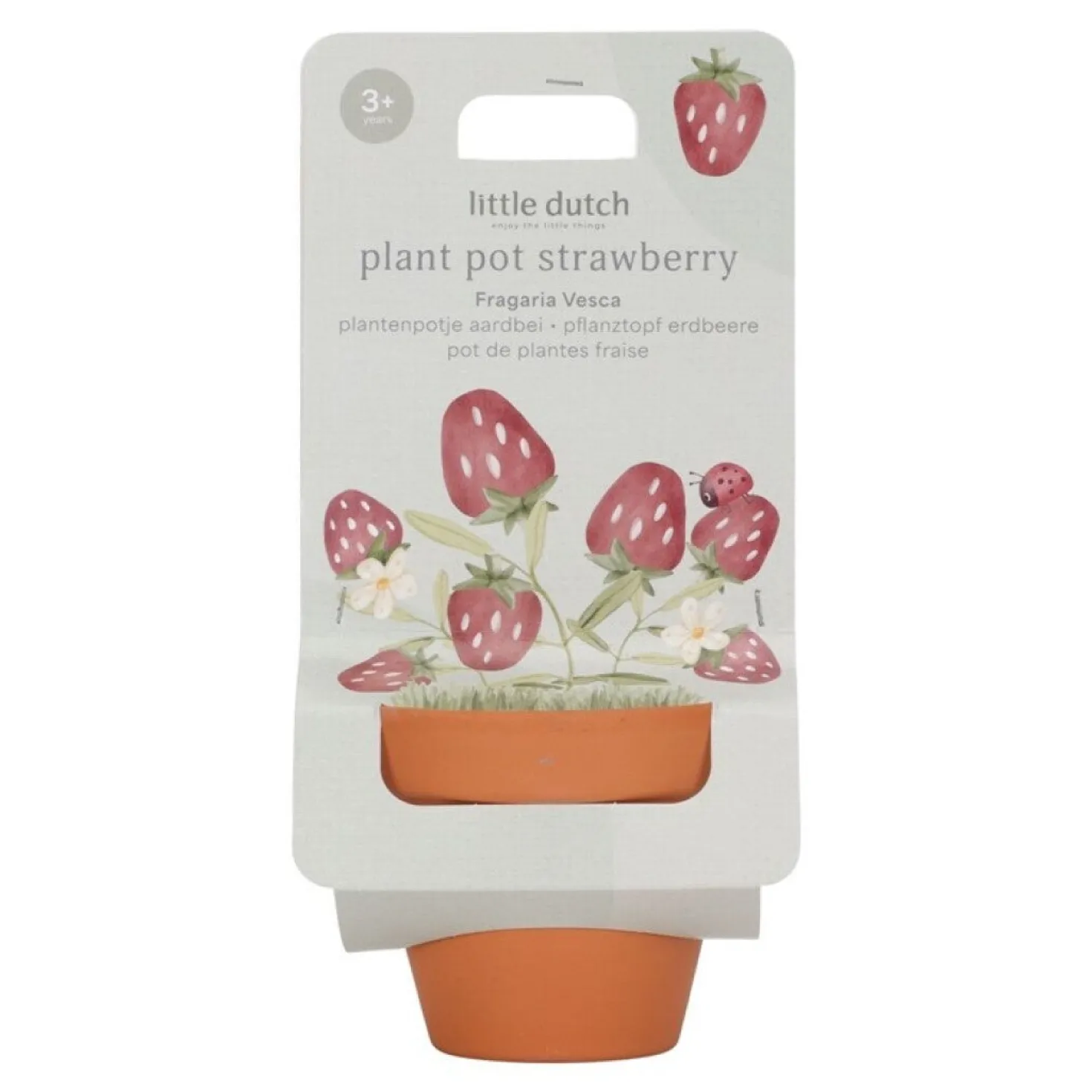 Maceta planta Fresas · Little Dutch