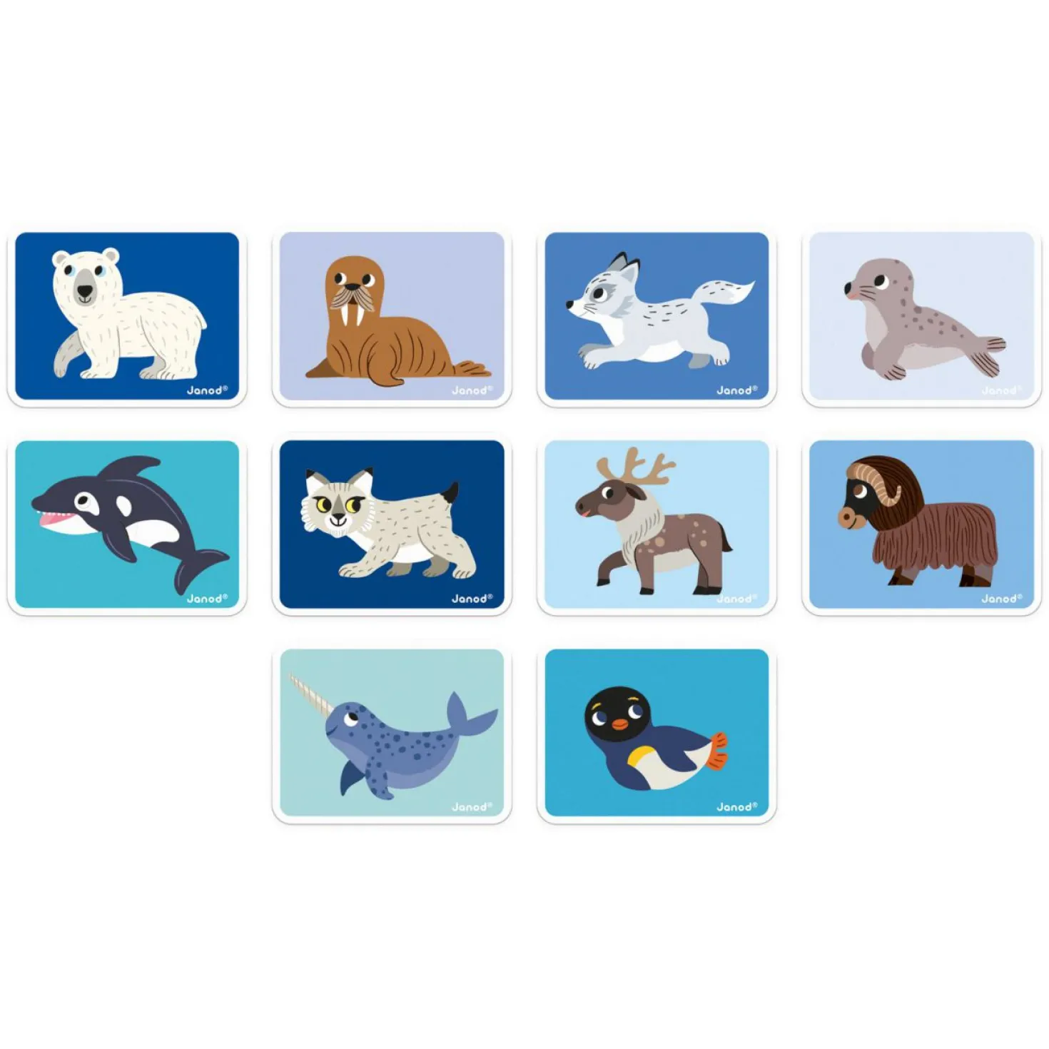Magneti'Book Animales polares · Janod