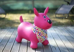Mi perro saltarín rosa · Ludi