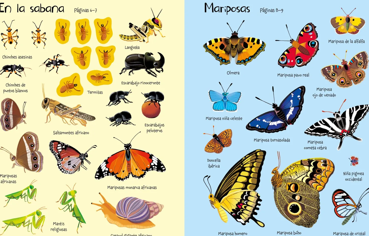 Mi primer libro de pegatinas · Bichitos