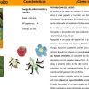 Mosquito · DJECO