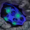 Ocean Creatures Pack · Clixo
