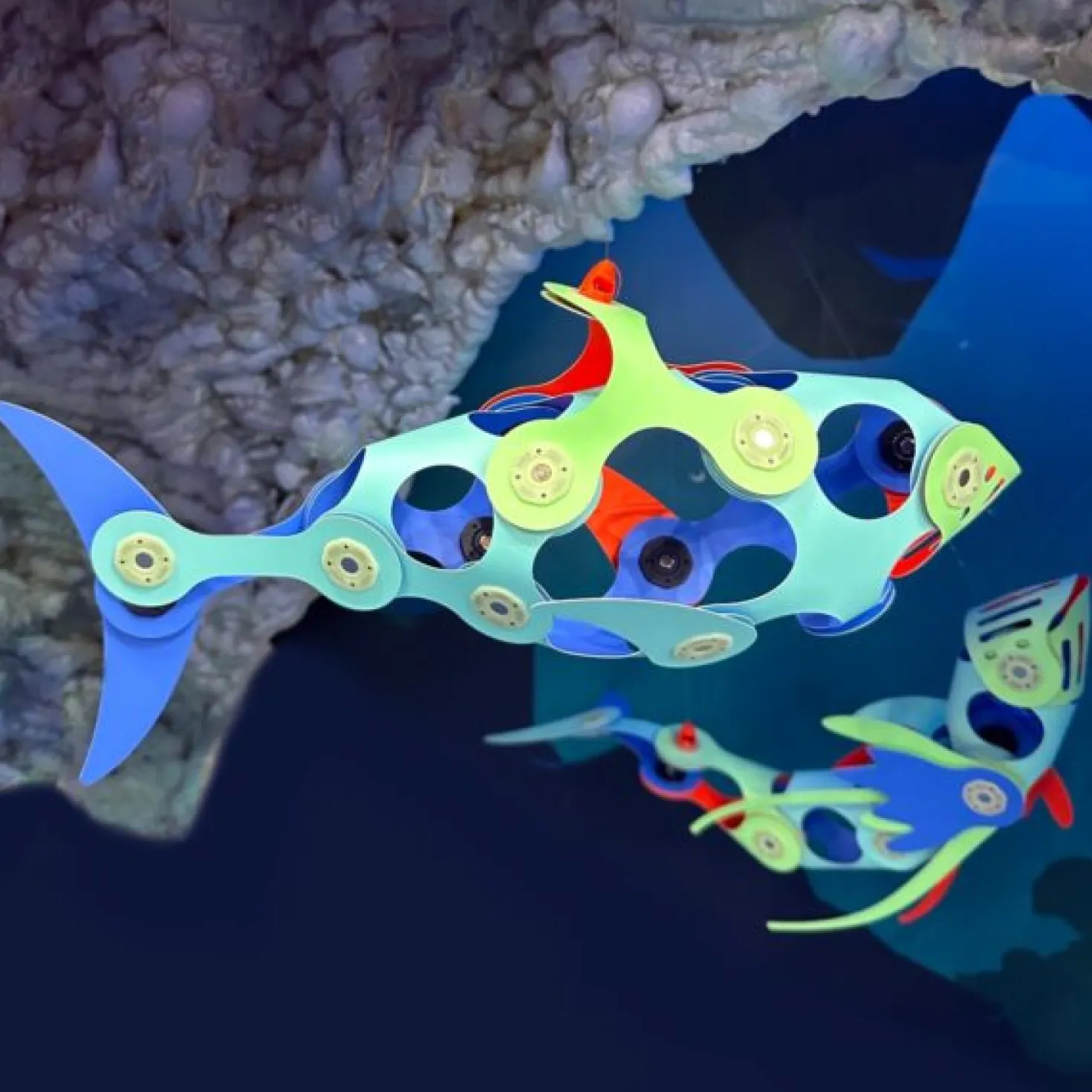 Ocean Creatures Pack · Clixo