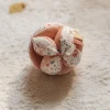 Pelota Montessori Fairy Garden